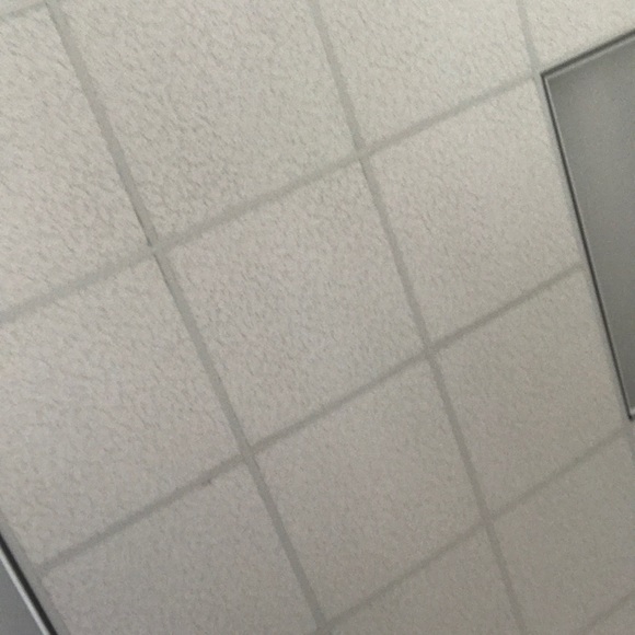 Meet your Posher, Mallory - Picture 1 of 1